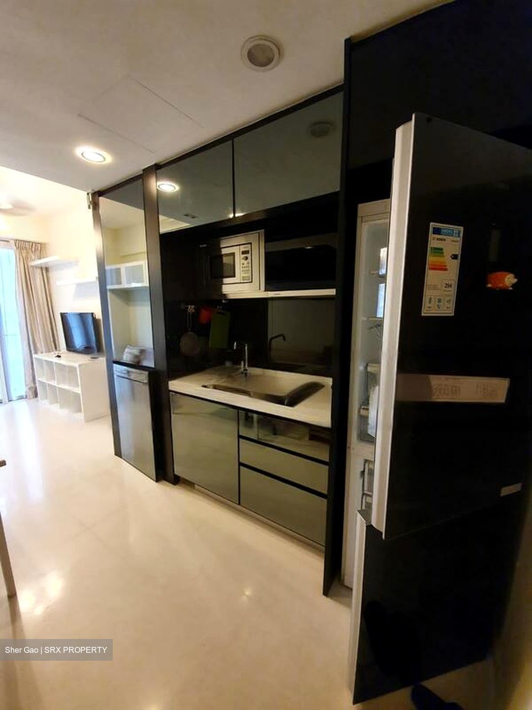 Vivace (D9), Apartment #477863151